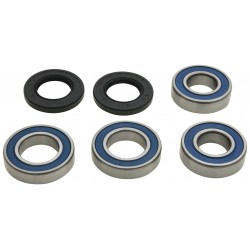 Wheel Bearing Kit All Balls Racing WB25-1807 spate Wheel Bearing Kit All Balls Racing WB25-1807 spate