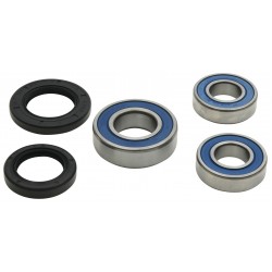 Wheel Bearing Kit All Balls Racing WB25-1810 spate
