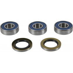 Wheel Bearing Kit All Balls Racing WB25-1813 spate