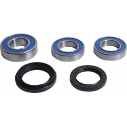 Wheel Bearing Kit All Balls Racing WB25-1814 spate Wheel Bearing Kit All Balls Racing WB25-1814 spate