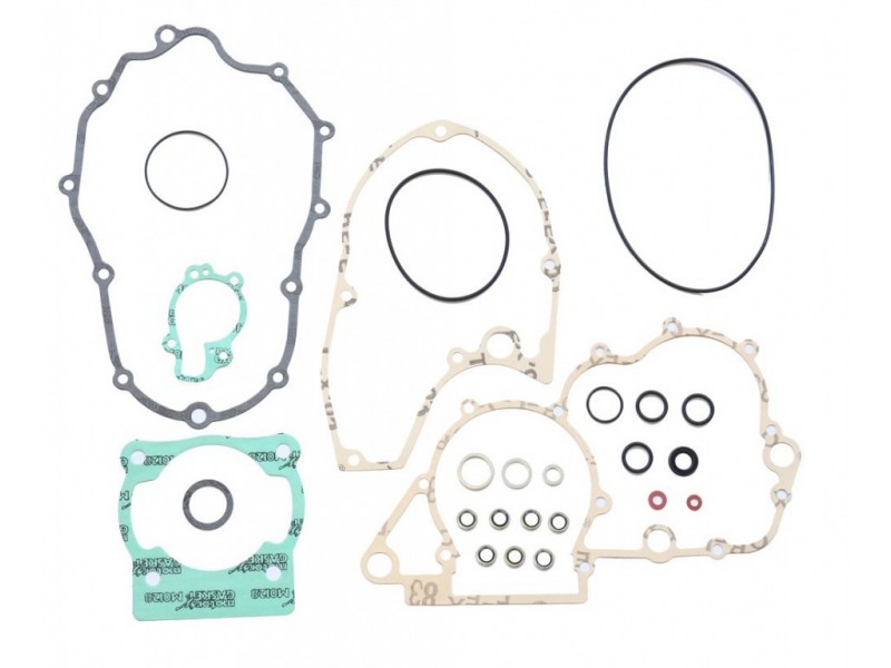 Kit complet ganituri motor ATHENA P400120850022