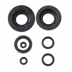 Kit garnituri ulei motor ATHENA P400210400199 Kit garnituri ulei motor ATHENA P400210400199