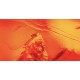 Mousse Technomousse SAHARA 90/90-21 M007 Mousse Technomousse SAHARA 90/90-21 M007