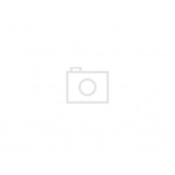 Oil Seal with Rubber Exterior ATHENA M730902030002 28x38x7mm in PTFE with one Teflon Seal-lip, one Dust Lip and Spring