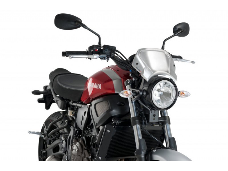 Windshield PUIG FRONTAL PLATE 3593P argintiu