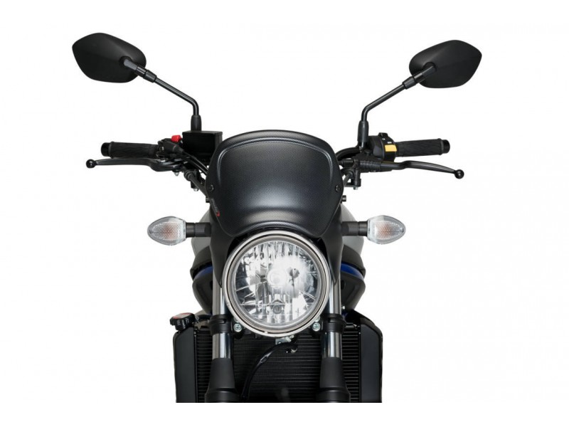Windshield PUIG FRONTAL PLATE 3590C carbon look Windshield PUIG FRONTAL PLATE 3590C carbon look