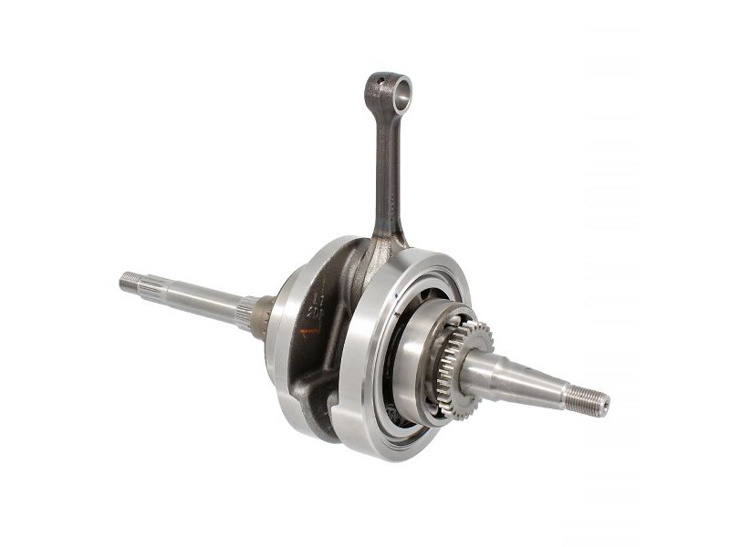 Crankshaft RMS 100010560