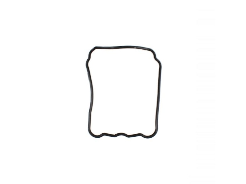 Head cover gasket RMS 100701050 Head cover gasket RMS 100701050