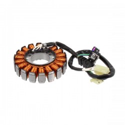 Stator assy RMS 246350550 Stator assy RMS 246350550