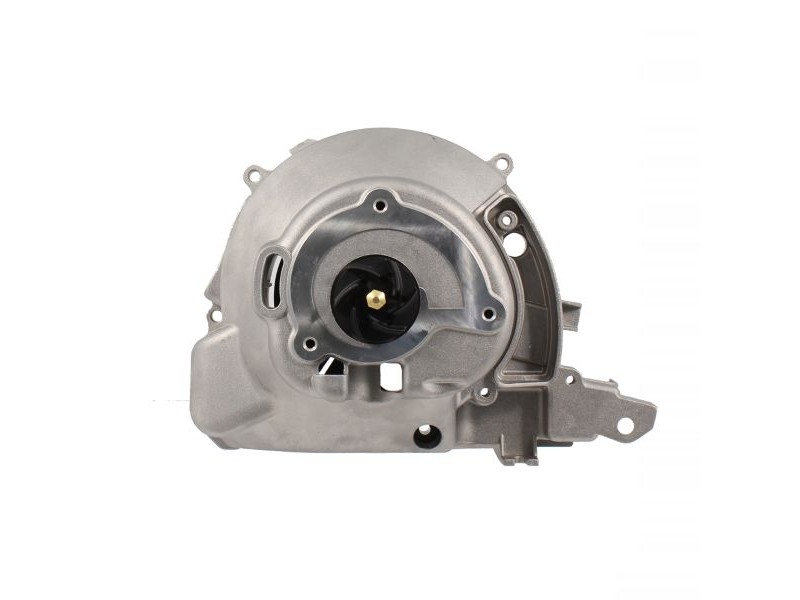 Water pump RMS 100110740 Water pump RMS 100110740