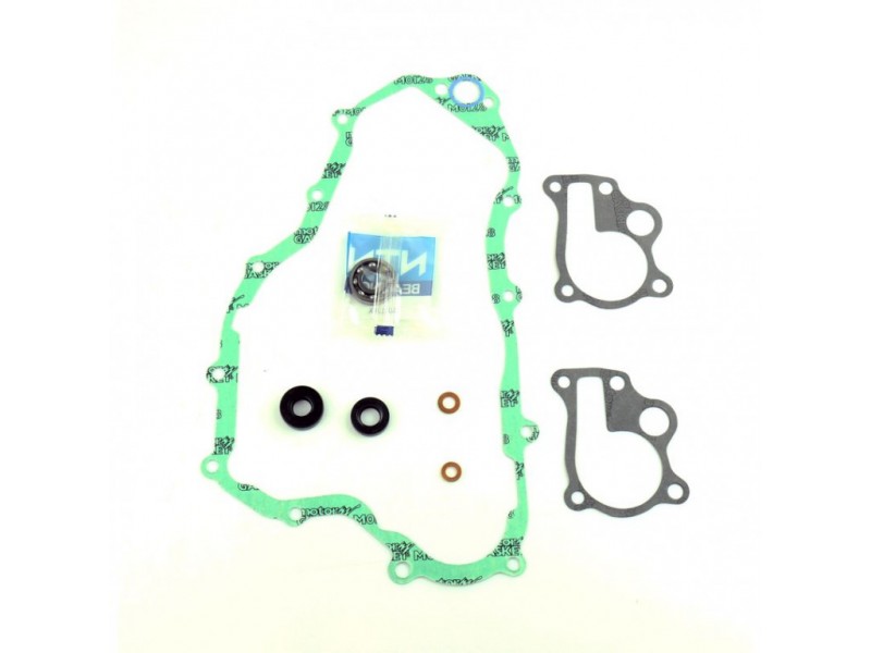 Water pump gasket kit ATHENA P400210475005 with bearings