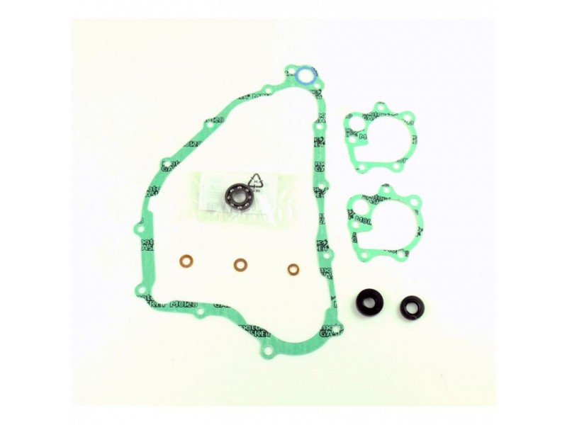 Water pump gasket kit ATHENA P400210475006 with bearings