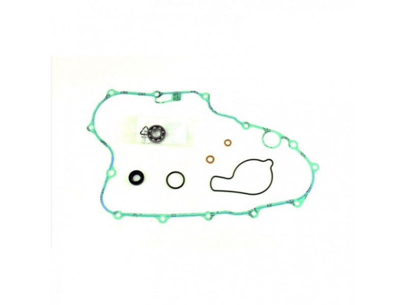 Water pump gasket kit ATHENA P400210475011 with bearings