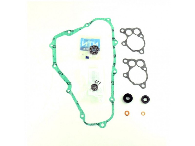 Water pump gasket kit ATHENA P400210475012 with bearings