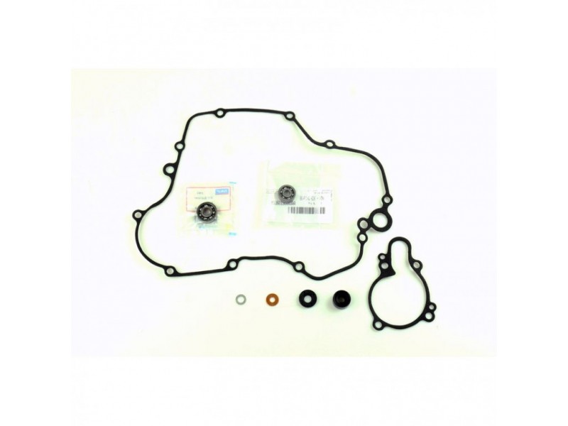 Water pump gasket kit ATHENA P400250475004 with bearings