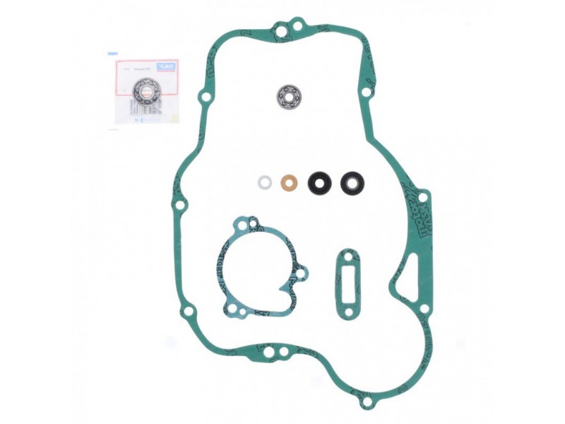 Water pump gasket kit ATHENA P400250475005 with bearings