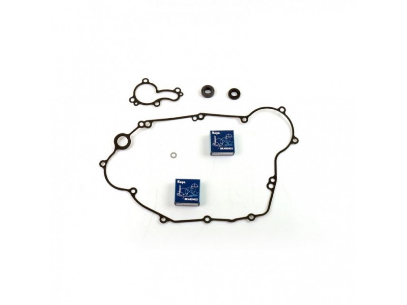 Water pump gasket kit ATHENA P400250475010 with bearings