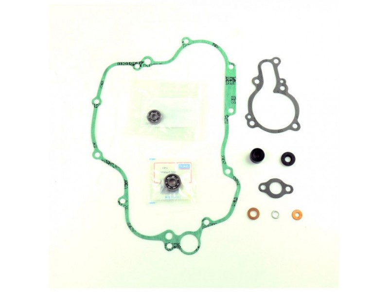 Water pump gasket kit ATHENA P400250475014 with bearings