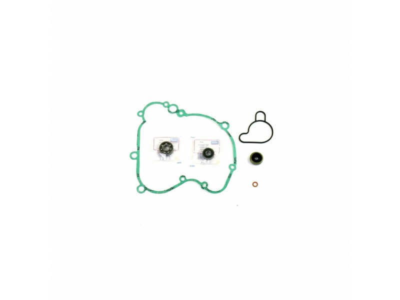 Water pump gasket kit ATHENA P400270475002 with bearings