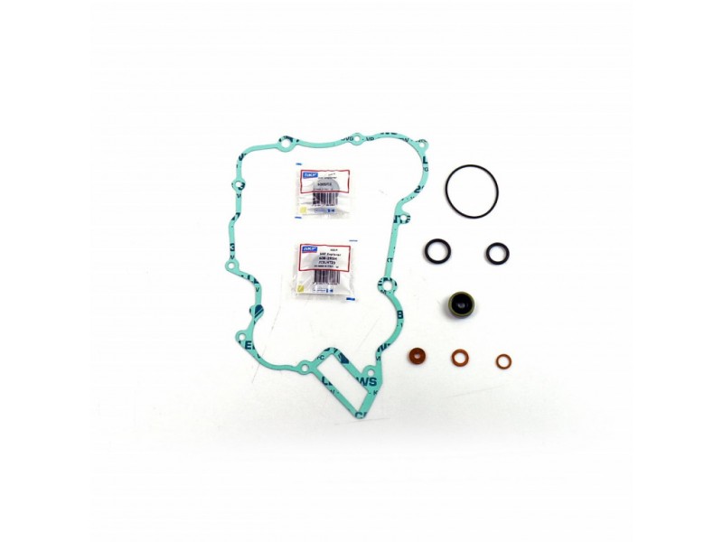 Water pump gasket kit ATHENA P400270475004 with bearings