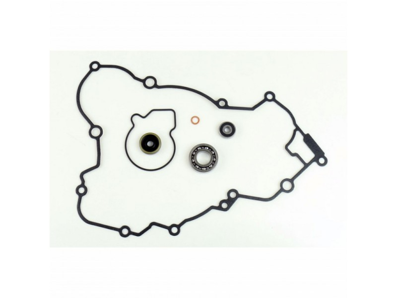 Water pump gasket kit ATHENA P400270475005 with bearings