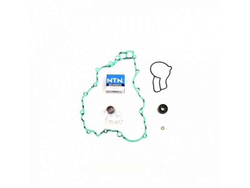 Water pump gasket kit ATHENA P400270475007 with bearings
