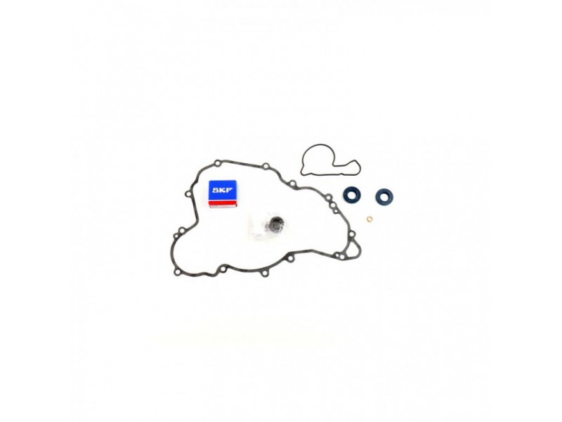 Water pump gasket kit ATHENA P400270475008 with bearings
