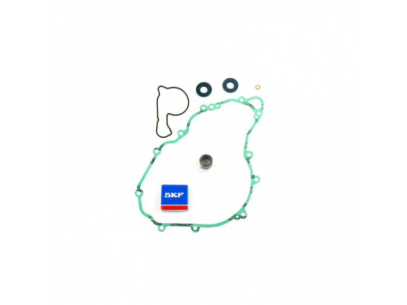 Water pump gasket kit ATHENA P400270475009 with bearings