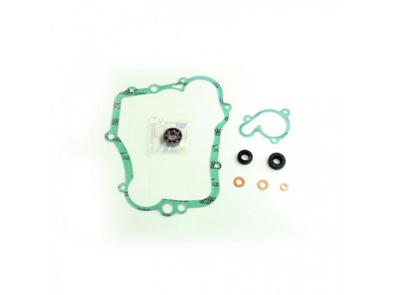 Water pump gasket kit ATHENA P400485475002 with bearings