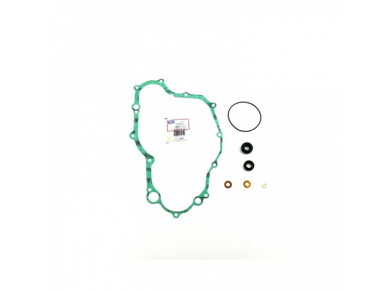 Water pump gasket kit ATHENA P400485475006 with bearings
