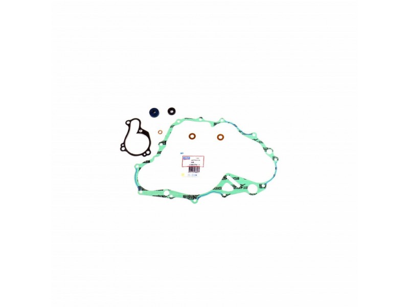 Water pump gasket kit ATHENA P400485475007 with bearings