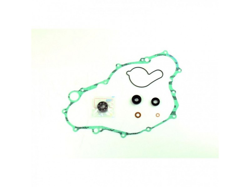 Water pump gasket kit ATHENA P400485475008 with bearings