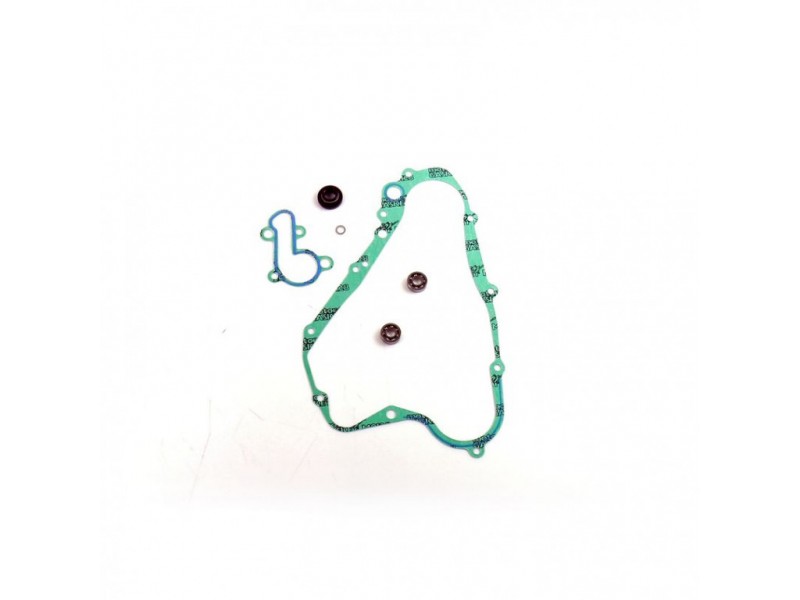 Water pump gasket kit ATHENA P400510475001 with bearings
