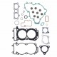Kit complet ganituri motor ATHENA P400427870025