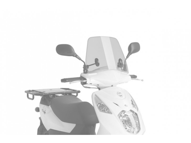Windshield PUIG TRAFIC 3561W transparent