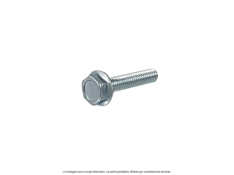 Galvanized hexagonal head screw RMS 121859175 with flange M4X20