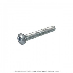 Hexagonal socket head screw RMS 121850570 ISO 7380 M8x30 Hexagonal socket head screw RMS 121850570 ISO 7380 M8x30