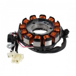Stator assy RMS 246350540 Stator assy RMS 246350540