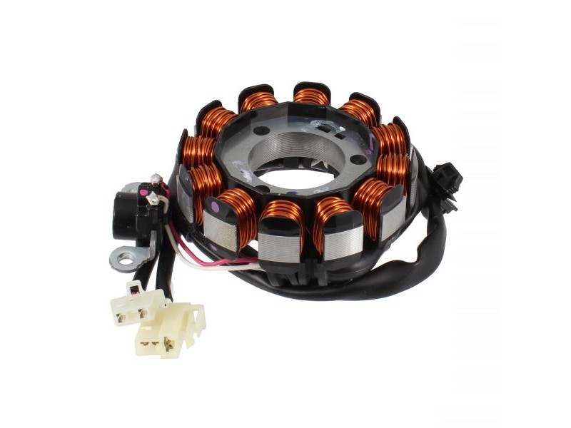 Stator assy RMS 246350540 Stator assy RMS 246350540