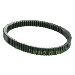 Curea de transmisie ATHENA PLATINUM S41PLAT052 Curea de transmisie ATHENA PLATINUM S41PLAT052