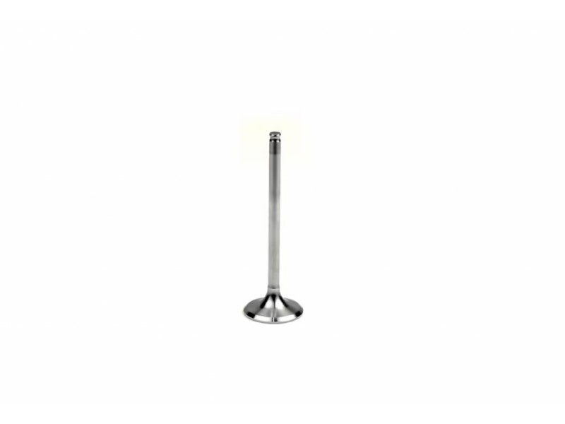 Supapa de evacuare ATHENA VE-210208S Otel