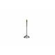 Supapa de evacuare ATHENA VE-210208S Otel
