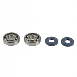 Crankshaft rebuilding kit ATHENA P400250444082 (bearing and oil seal kit) Crankshaft rebuilding kit ATHENA P400250444082 (bearing and oil seal kit)