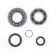 Crankshaft rebuilding kit ATHENA P400270444045 (bearing and oil seal kit)
