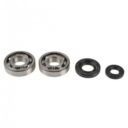 Crankshaft rebuilding kit ATHENA P400485444038 (bearing and oil seal kit) Crankshaft rebuilding kit ATHENA P400485444038 (bearing and oil seal kit)