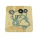 Water pump gasket kit ATHENA P400210348124 with bearings