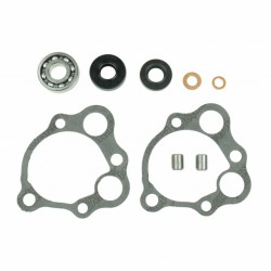 Water pump gasket kit ATHENA P400210348250 with bearings Water pump gasket kit ATHENA P400210348250 with bearings