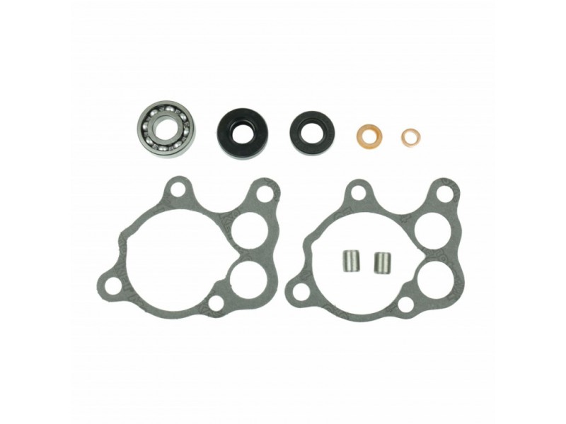 Water pump gasket kit ATHENA P400210348504 with bearings
