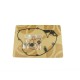 Water pump gasket kit ATHENA P400510470006