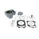 Kit cilindru ATHENA P400250100021 Standard Bore d 96 mm, 450 cc